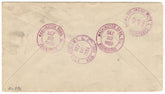 US Illinois, Washington Park 707 on Registered Fancy Cancel Cover, Ovals